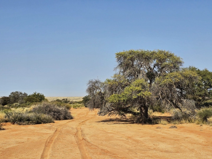 Commercial Property for Sale in Kenhardt Northern Cape